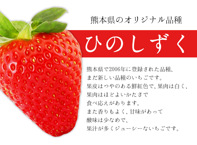 楽天市場 ふるさと納税 ひのしずく ゆりカ ゴ 3g 12 15玉 Dx 4lサイズ 熊本県氷川町産 ひのしずく いちご 1月中旬 2月下旬頃より順次出荷 Jaやつしろ和鹿島いちご部会 熊本県氷川町