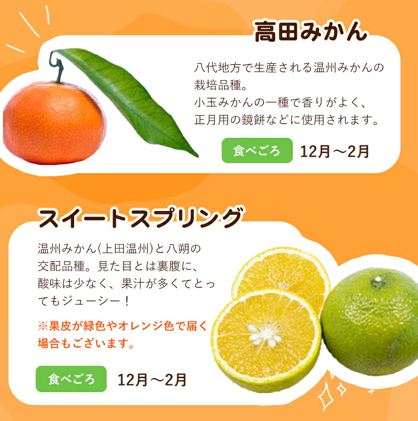 楽天市場 ふるさと納税 柑橘詰め合わせセット 5種類 10kg以上 山本果樹園 12月上旬 2月末頃より順次出荷 果物 フルーツ みかん 熊本県氷川町