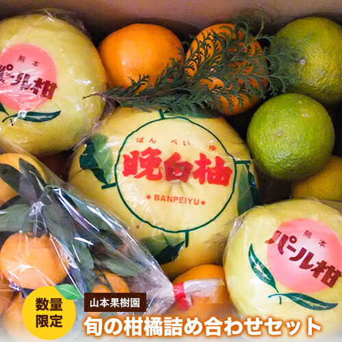 ふるさと納税】柑橘詰め合わせセット(5種類・10kg以上) 山本果樹園《12