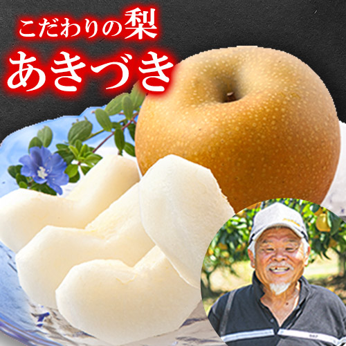 福岡農園 こだわりの梨 あきづき 5kg 《9月上旬-9月中旬頃より順次出荷》熊本県 氷川町 ナシ 秋 旬 熊本 フルーツ お取り寄せ 無袋栽培 送料無料