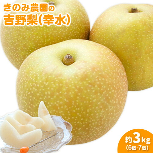 【ふるさと納税】きのみ農園の吉野梨（幸水）3kg 6個～7個 熊本県氷川町産 きのみ農園《7月下旬-8月上旬頃出荷》