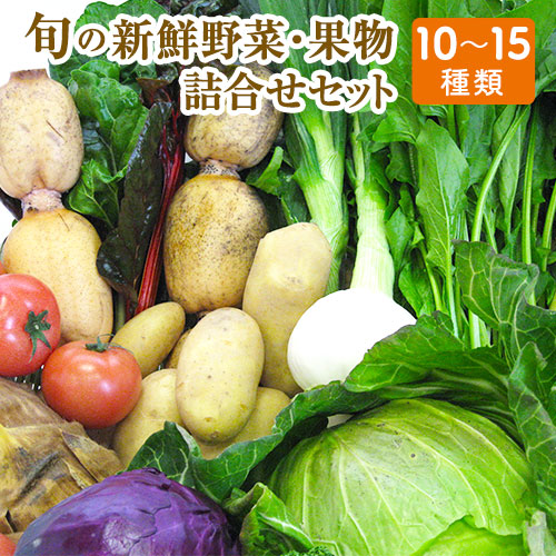 ふるさと納税 旬の新鮮野菜 果物詰合せセット たっぷり10 15品目 熊本県氷川町産 道の駅竜北 30日以内に順次出荷 土日祝除く ふるさと納税 熊本県 氷川町 国産 熊本県産 野菜 旬の野菜 果物 フルーツ 詰合せ 新鮮 葉物 根菜 ご家庭用 自宅用 旬 九州 はっさく等夏