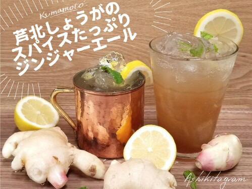 楽天市場 ふるさと納税 Ashikita Spices Ginger アシキタ スパイス ジンジャー 熊本県芦北町