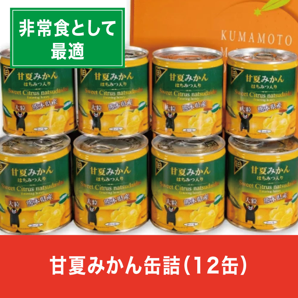 【ふるさと納税】缶詰 セット ギフト かんづめ 甘夏 夏みかん みかん  保存食　甘夏みかん缶詰（12缶入）