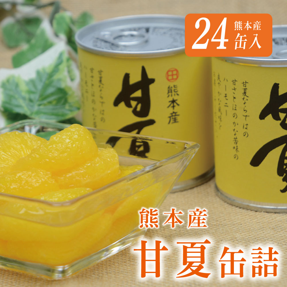 【ふるさと納税】缶詰 セット ギフト かんづめ 甘夏 夏みかん みかん  保存食　甘夏缶詰（24缶入）