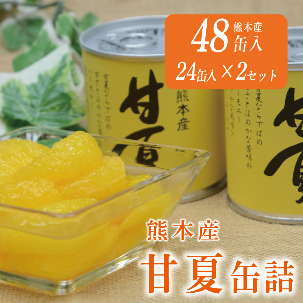 熊本県産【甘夏みかん缶詰】プリプリフルーツ缶詰 『24缶詰セット』【化粧箱】 甘夏みかんの缶詰（24缶入り） 商品詳細｜鹿児島 お土産,名物