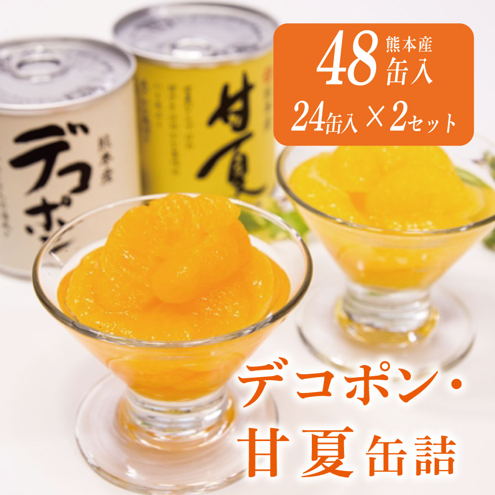 【ふるさと納税】缶詰 セット ギフト かんづめ デコポン 甘夏 みかん  保存食　デコポン、甘夏缶詰（48缶）