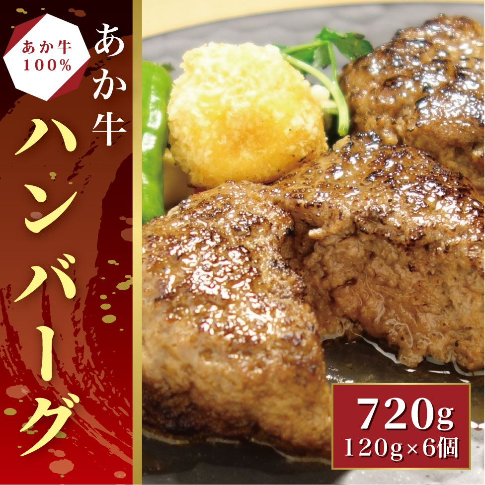 【ふるさと納税】あか牛100％ハンバーグ セット（あか牛ハンバーグ120g×6個）