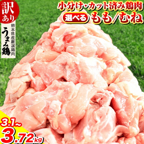 【ふるさと納税】鶏肉 もも肉 or むね肉 or ハーフセット うまみ鶏 大容量 最大 10kg 以上 定期便 小分けパック 鶏もも肉 鶏むね肉 鶏 もも むね モモ ムネ 若どり 個包装 熊本県産 【楽天限定】《7-14日以内に出荷予定(土日祝除く)》