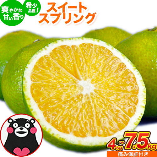 【ふるさと納税】スイートスプリング  4kg 7.5kg 熊本県産 送料無料 旬 の みかん 熊本産 取り寄せ (3L～Sサイズ/3L-S混合) 《12月下旬～1月下旬出荷》熊本県 津奈木町 柑橘 希少品種 スイートスプリング 柑橘 果物 スイスプ 旬 の みかん 柑橘 温州みかん