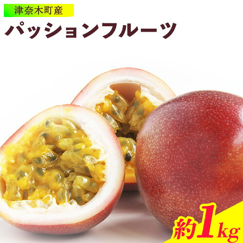 【ふるさと納税】【先行予約】津奈木町産 パッションフルーツ 約1kg(12～16個) つなぎ南興FARM《2026年7月上旬-7月中旬頃出荷》フルーツ 果物 熱帯果樹栽培 バニラアイス ヨーグルト 練乳