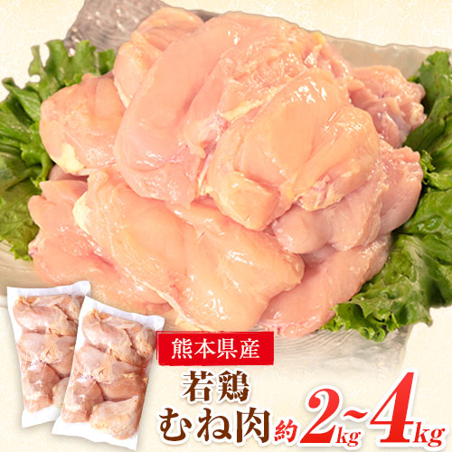 【ふるさと納税】 鶏肉 若鶏 むね肉 約2kg × 1袋 2袋(1袋あたり約300g×7枚前後) たっぷり大満足！《30日以内に出荷予定(土日祝除く)》 熊本県 葦北郡 津奈木町 訳あり SDGs 定期 でない