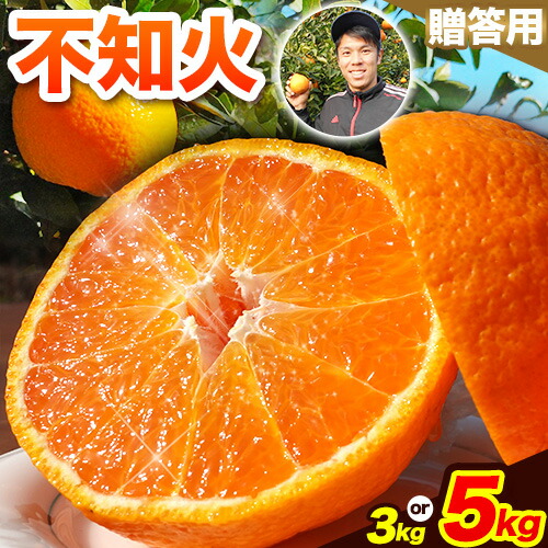 【ふるさと納税】先行予約 不知火 熊本のブランド果実 選べる 不知火 贈答用 約 3kg (10玉) または 約 5kg (16玉) 未来来農園 選べる内容量 《2026年4月上旬-4月下旬頃出荷》熊本県 葦北郡 津奈木町 みかん デコポン でこぽん フルーツ 柑橘 しらぬい