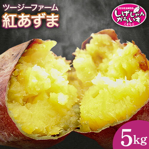 熊本県産 しげしゃんからいも 紅あずま 5kg ツージーファーム 《10月下旬-11月末頃より順次出荷》熊本県 葦北郡 津奈木町 さつまいも からいも 焼き芋 送料無料