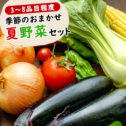 【ふるさと納税】季節のおまかせ『夏』野菜セット 3～8品目程度 わらく農園《出荷時期をお選びください》熊本県 葦北郡 津奈木町 野菜 野菜セット