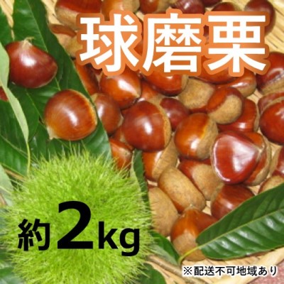 ふるさと納税 草生栽培で育てた賀久農園の球磨栗約2kg 21秋発送 配送不可 離島 果物類 くり 栗 お届け 21年9月中旬 11月上旬 熊本県錦町 出荷時期になりましたら 別途メールにてお Wevonline Org