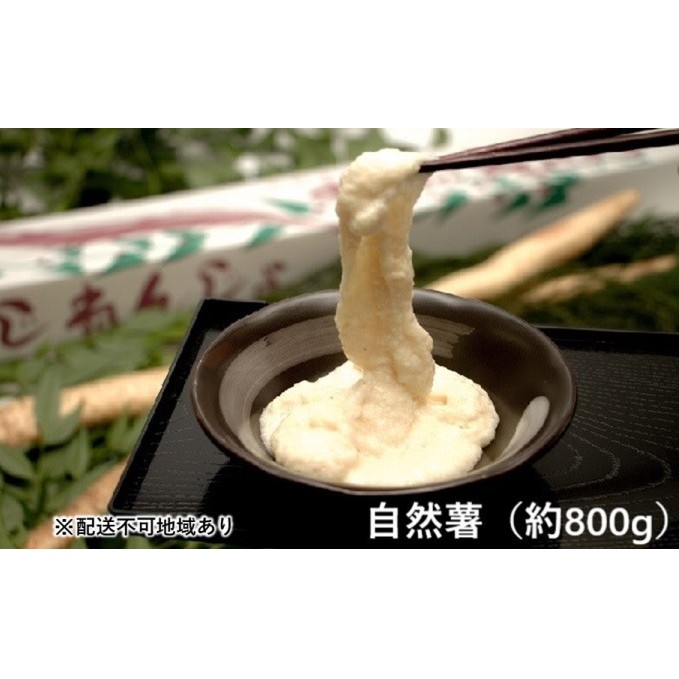 上品格安saleスタート 熊本県錦町 ふるさと納税 桑原農園 自然薯 約800g 配送不可 離島 野菜 根菜 自然薯 お届け 年11月上旬 21年8月下旬 美しい新品送無