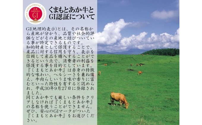 格安人気 熊本県産 和牛 くまもと あか牛 和王 焼肉 用 切り落とし 食べ比べ セット 合計500g 配送不可 離島 お肉 牛肉 ステーキ 牛肉炒め物 お届け 21年5月 熊本県錦町 国内最安値 Www Flyingislandrealty Com