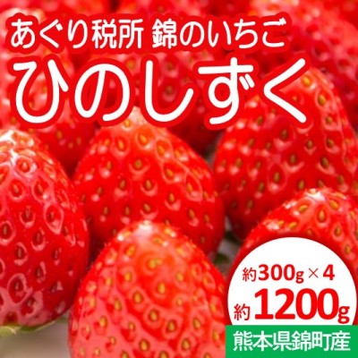 ふるさと納税 あぐり税所 錦の いちご ひのしずく 送届ける不可 離島 果物比 いちご オランダイチゴ イチゴ ひのしずく フルーツ お届け 21老い12月桂下旬 22年3月下旬 Daemlu Cl