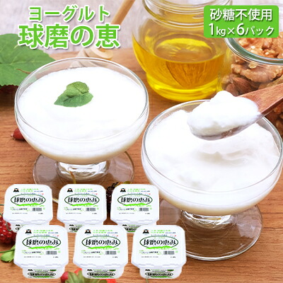 【ふるさと納税】球磨の恵ヨーグルト 1kg&times;6パック（砂糖不使用） 乳製品 ｜熊本県錦町