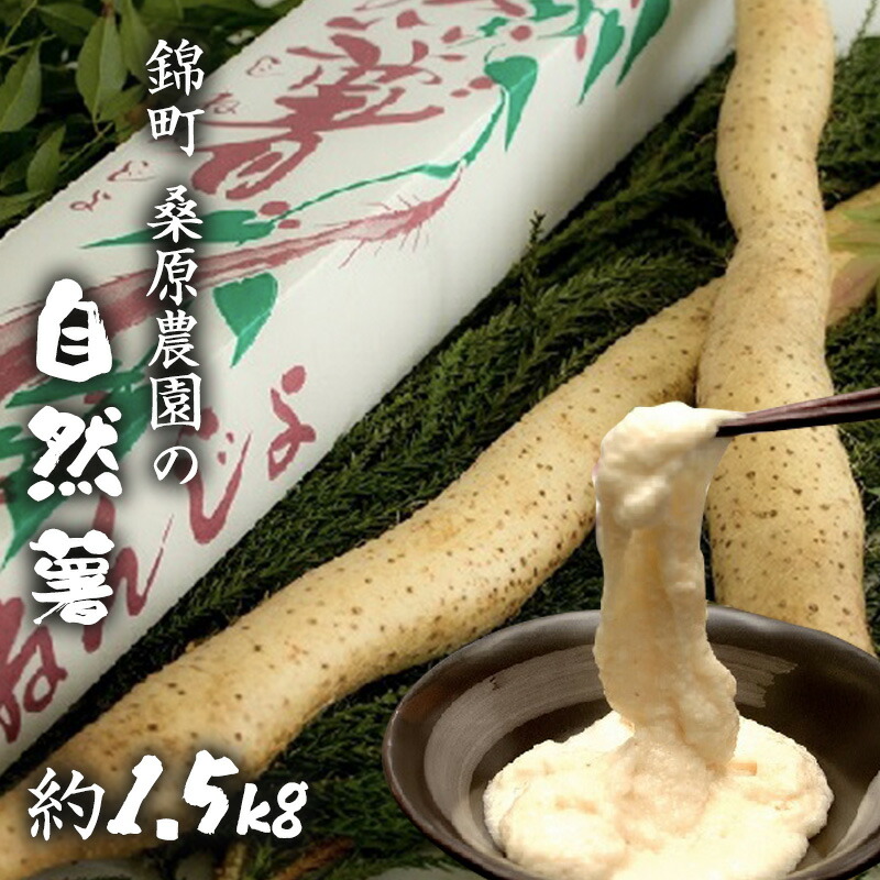 【ふるさと納税】自然薯 約1.5kg 錦町産 桑原農園 配送不可:離島 お届け:2025年11月下旬~2026年7月下旬