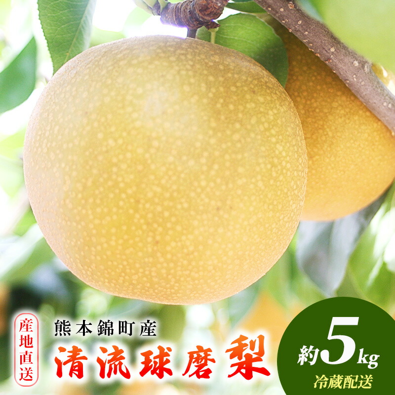 【ふるさと納税】梨 旬 5kg 先行予約 2025年発送 平野果樹園 錦の梨 なし フルーツ 果物 デザート 配送不可:離島 　お届け：2025年8月上旬～11月中旬