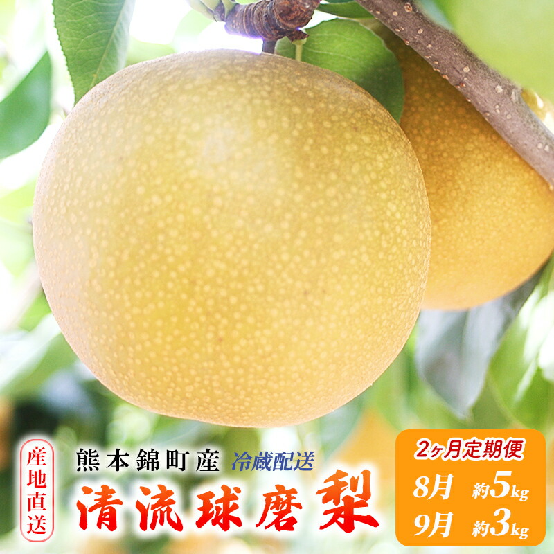 【ふるさと納税】定期便 2回 先行予約 梨 清流錦 豊水 あきづき 新高 かおり 8月 5kg 9月 3kg フルーツ なし ナシ 果物 デザート お楽しみ 2025年発送 配送不可:離島 　お届け：2025年8月下旬～9月下旬