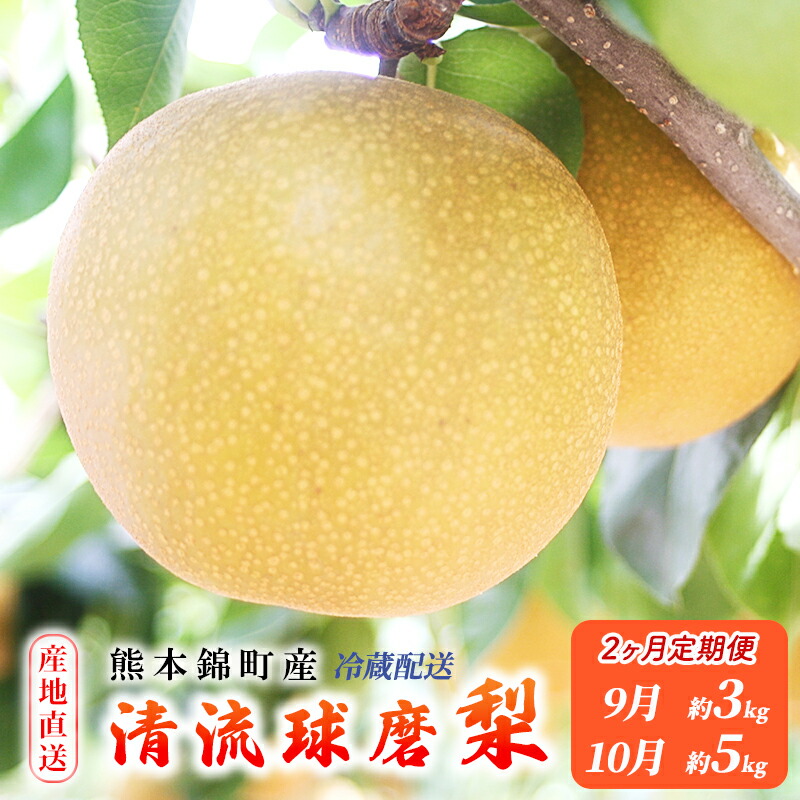 【ふるさと納税】定期便 2回 先行予約 梨 清流錦 あきづき 9月 3kg 新興 10月 5kg フルーツ なし ナシ 果物 デザート 秋月 お楽しみ2025年発送 配送不可:離島 　お届け：2025年9月初旬～10月下旬