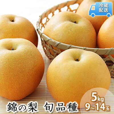 【ふるさと納税】梨 5kg 先行予約 錦の梨 約9玉～14玉 フルーツ なし ナシ 果物 デザート 2025年発送 古里農園 配送不可:離島 　お届け：2025年8月上旬～10月下旬