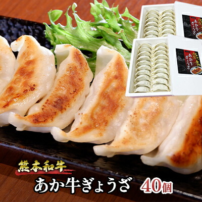 【ふるさと納税】ぎょうざ 熊本 あか牛 餃子 セット 計40個（20個入り×2箱）和牛 肉 お肉 牛肉 加工品 ギョウザ 赤牛 配送不可：離島 熊本県産野菜使用 濃厚な肉汁 おかず つまみ ビールのお供 中華