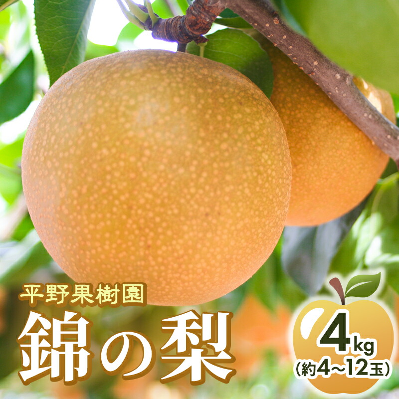 【ふるさと納税】梨 先行予約 4kg 平野果樹園 錦の梨 清流錦 2025年発送 フルーツ 果物 デザート 配送不可：離島 　お届け：2025年8月上旬～11月中旬