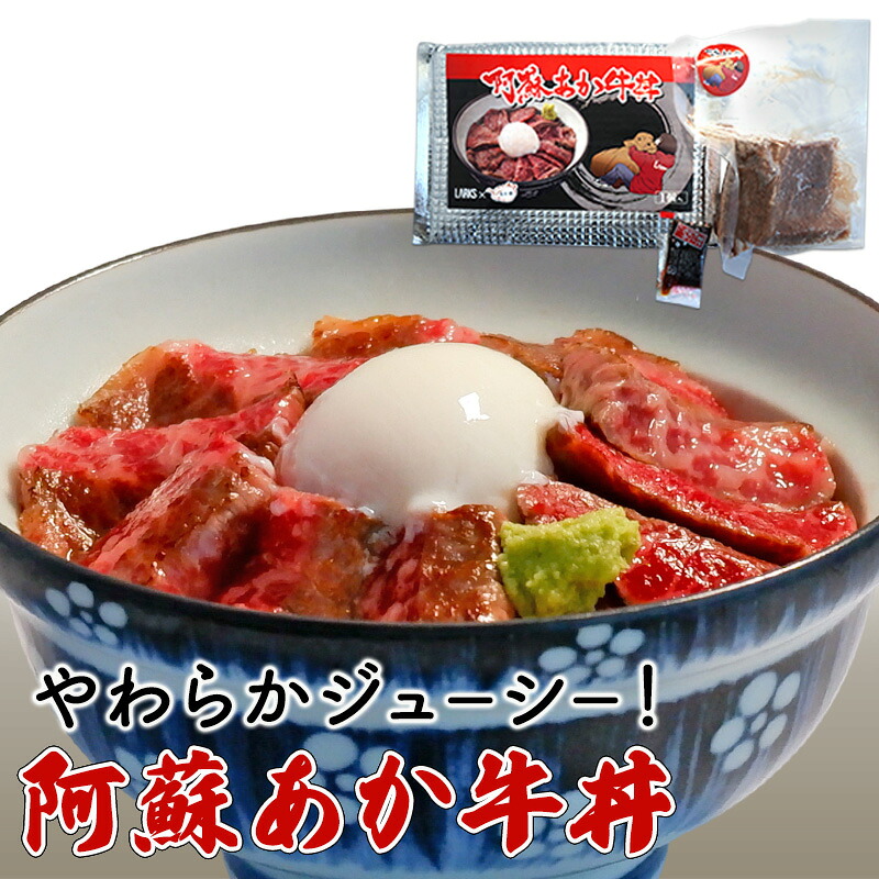 【ふるさと納税】ローストビーフ 丼 セット 阿蘇 あか牛丼 どんぶり 牛丼 牛肉 肉 お肉 あか牛 赤牛 配送不可：離島
