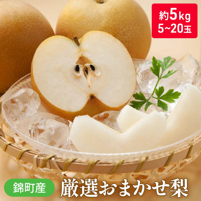 【ふるさと納税】梨 おまかせ 約5kg 豊水・秋月・新高などから最も旬の梨を厳選 錦町産 5～20玉 なし ナシ 果物 くだもの デザート フルーツ ※配送不可：離島 　お届け：2025年8月上旬より順次発送