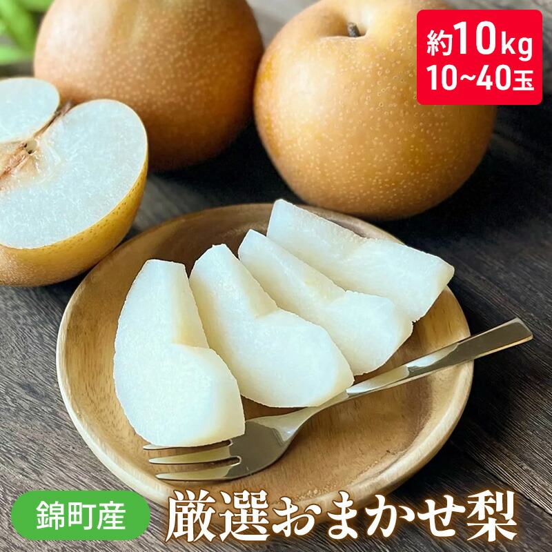 【ふるさと納税】梨 おまかせ 約10kg 豊水・秋月・新高などから最も旬の梨を厳選 錦町産 10～40玉 なし ナシ 果物 くだもの デザート フルーツ ※配送不可：離島 　お届け：2025年8月上旬より順次発送