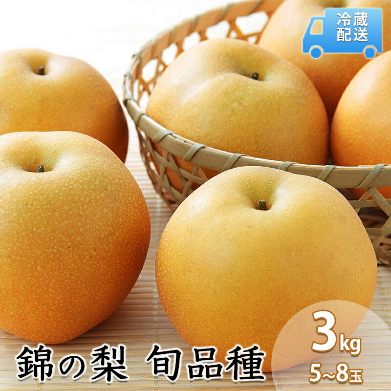 【ふるさと納税】梨 3kg 先行予約 錦の梨 約9玉～14玉 フルーツ なし ナシ 果物 デザート 2025年発送 古里農園 配送不可:離島　お届け：2026年8月1日～10月30日まで
