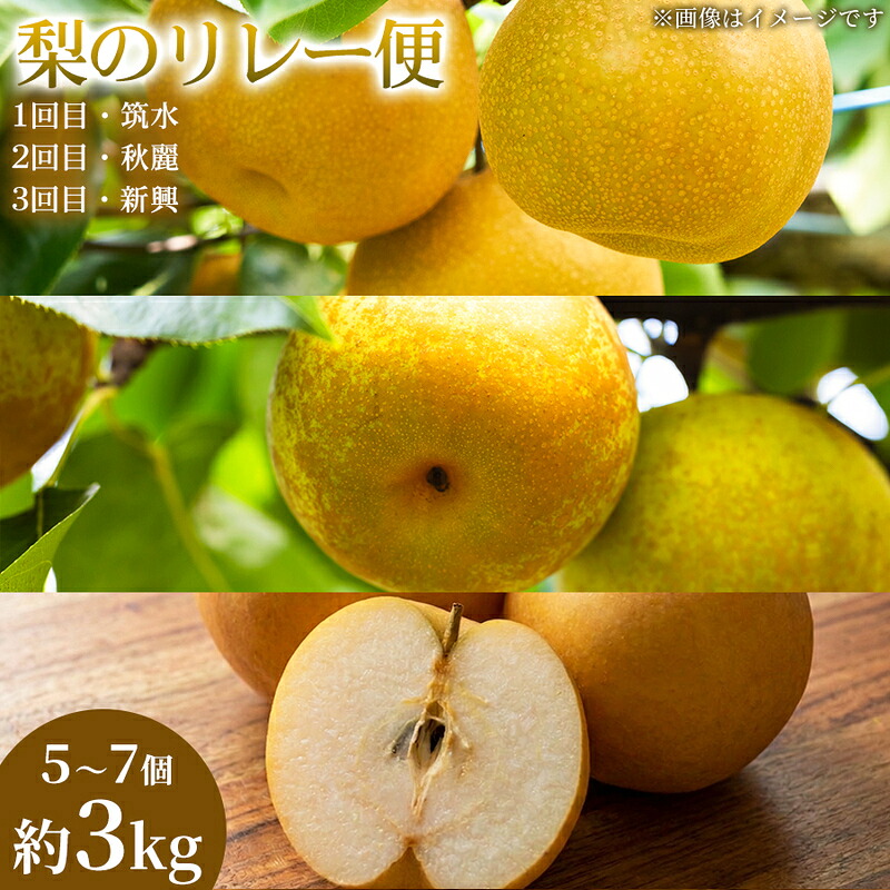 【ふるさと納税】【旬の梨を味わう】熊本県産 リレー便(各5～7個 )(約3kg)(1回目)筑水(2回目)秋麗(3回目)新興 梨 フルーツ 詰め合わせ 食べ比べ 甘い 濃厚 農家直送 ギフト 贈答用 家庭用 お取り寄せ 熊本県　お届け：2026年7月15日～2026年10月31日｜熊本県錦町