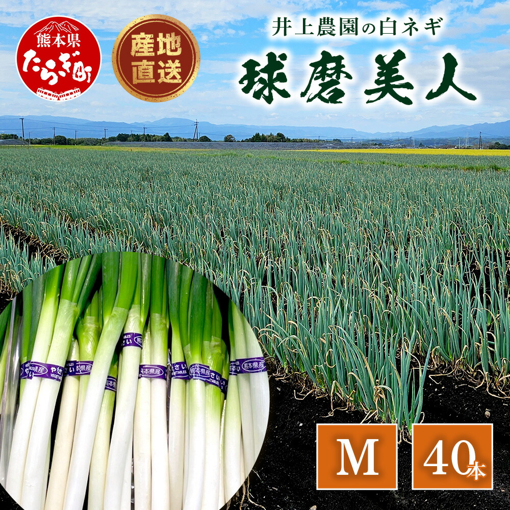 【ながねぎ】 r201_294.jpg