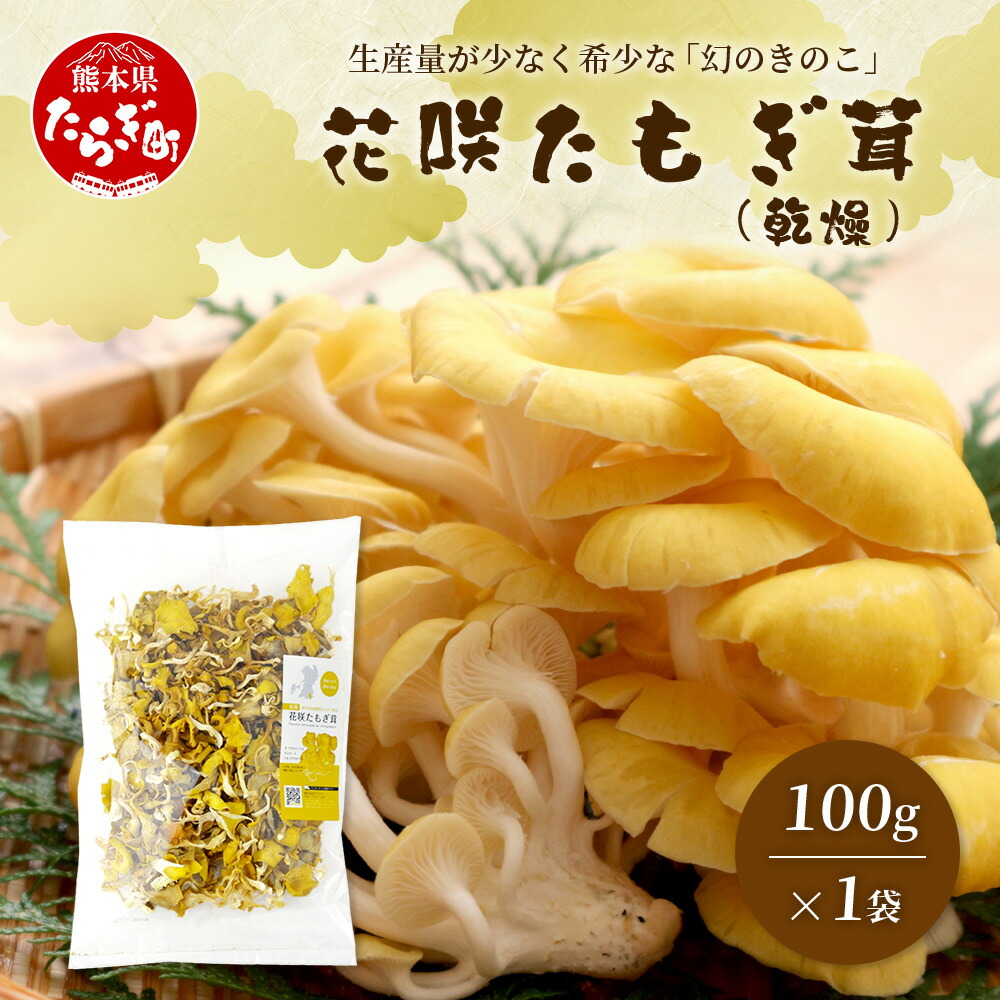 【ふるさと納税】無農薬栽培【花咲 たもぎ茸 (乾燥) 100g 】幻 キノコ タモギダケ ヒラタケ 健康 栄養豊富 出汁 だし エルゴチオネイン タモギ茸 健康 栄養豊富 たもぎ 国産原料 健康維持 天然素材 送料無料