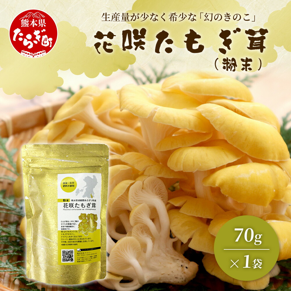 【ふるさと納税】無農薬栽培【花咲 たもぎ茸 (粉末) 70g 】幻 キノコ タモギダケ ヒラタケ 健康 栄養豊富 出汁 だし 健康 栄養豊富 たもぎ 熊本県 多良木町 熊本産 国産原料 健康維持 食物繊維 天然素材 送料無料｜熊本県多良木町