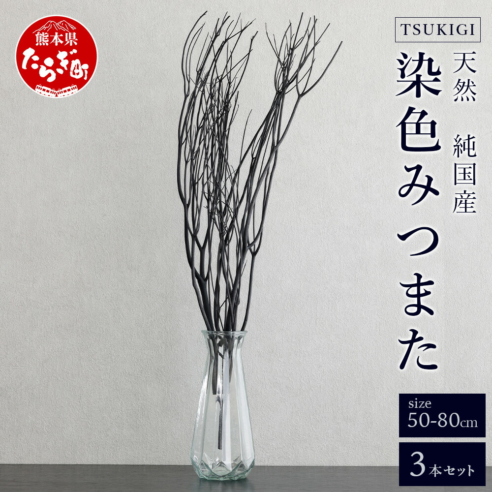 【ふるさと納税】染めつける TSUKIGI みつまた 3本 1書き割り 高さ50珊～80珊 室内装飾 オブジェ 枝 黒 黒いこと 今めかしい 今めかしい 素っ気ない御花 今めかしい 一本調子 和 生まれながら 国産 槻木 多良木町 貨物輸送無料