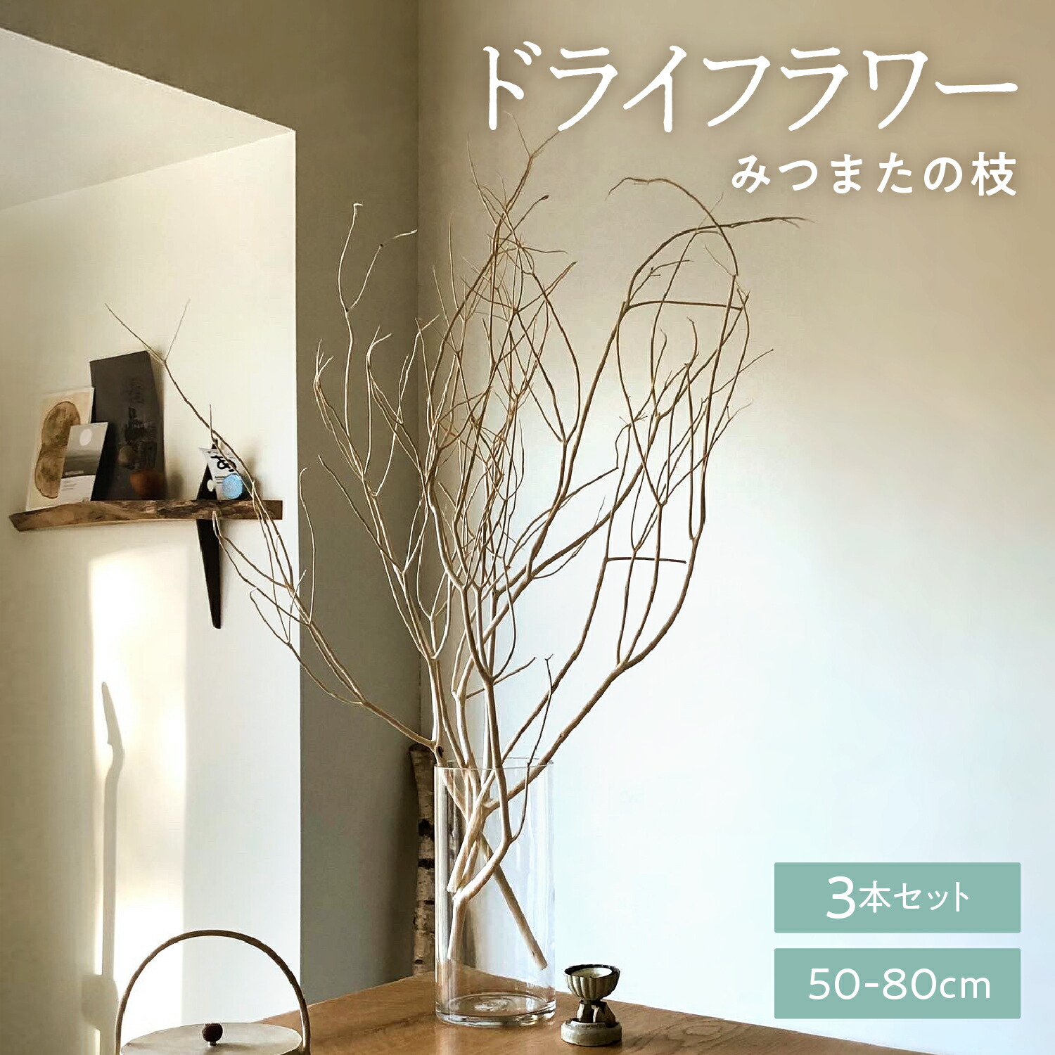 【ふるさと納税】TSUKIGI みつまた 3本 1書き割り 高さ50珊～80珊 自然的 室内装飾 枝 素っ気ない 御花 枝 白 今めかしい 今めかしい 素っ気ない御花 自然的 馨香 白木 草木 オブジェ 木 飾りつけ ミツマタ 三又 クリスマス 生まれながら 国産 槻木 室内装飾 枝 貨物輸送無料
