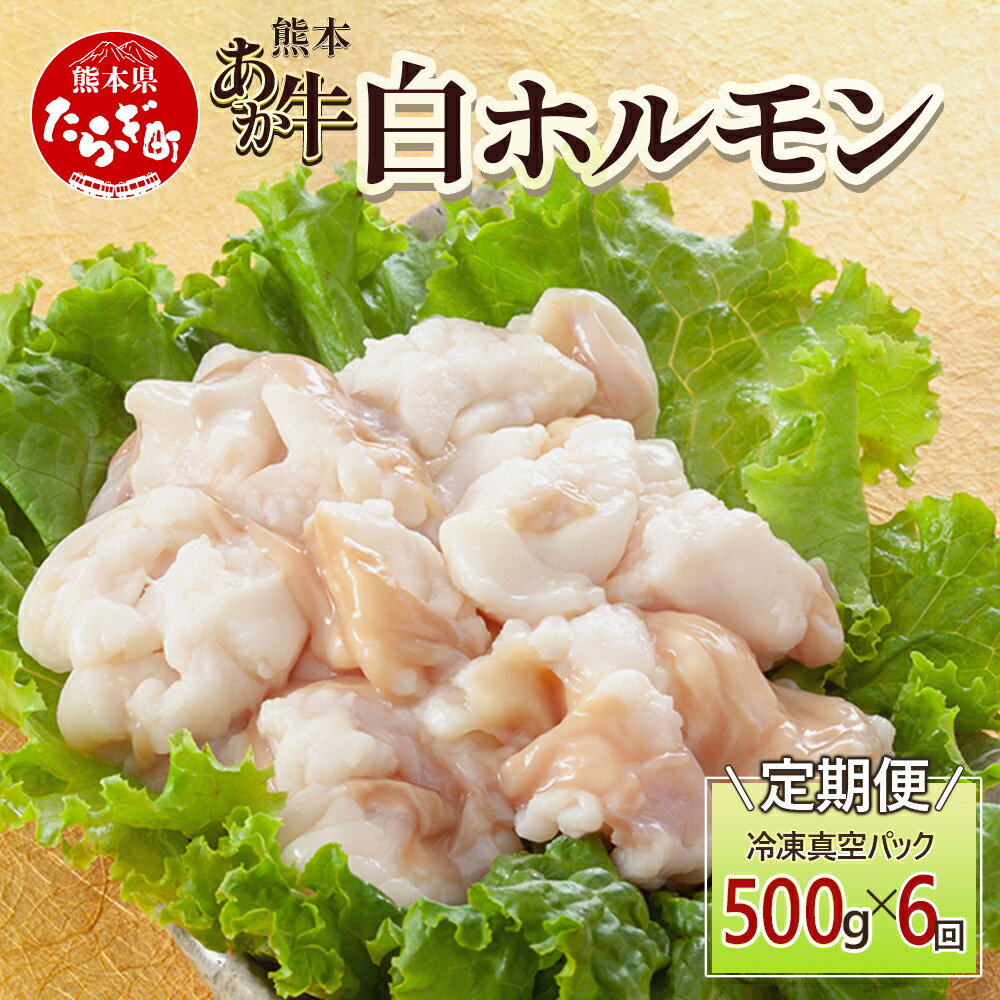 【ふるさと納税】【定期便6回】熊本あか牛 白ホルモン 計3Kg (250g&times;2)&times;6回 冷凍真空パック【 熊本 熊本県産 あか牛 冷凍 真空 もつ鍋 ホルモン 焼き肉 】 041-0140｜熊本県多良木町