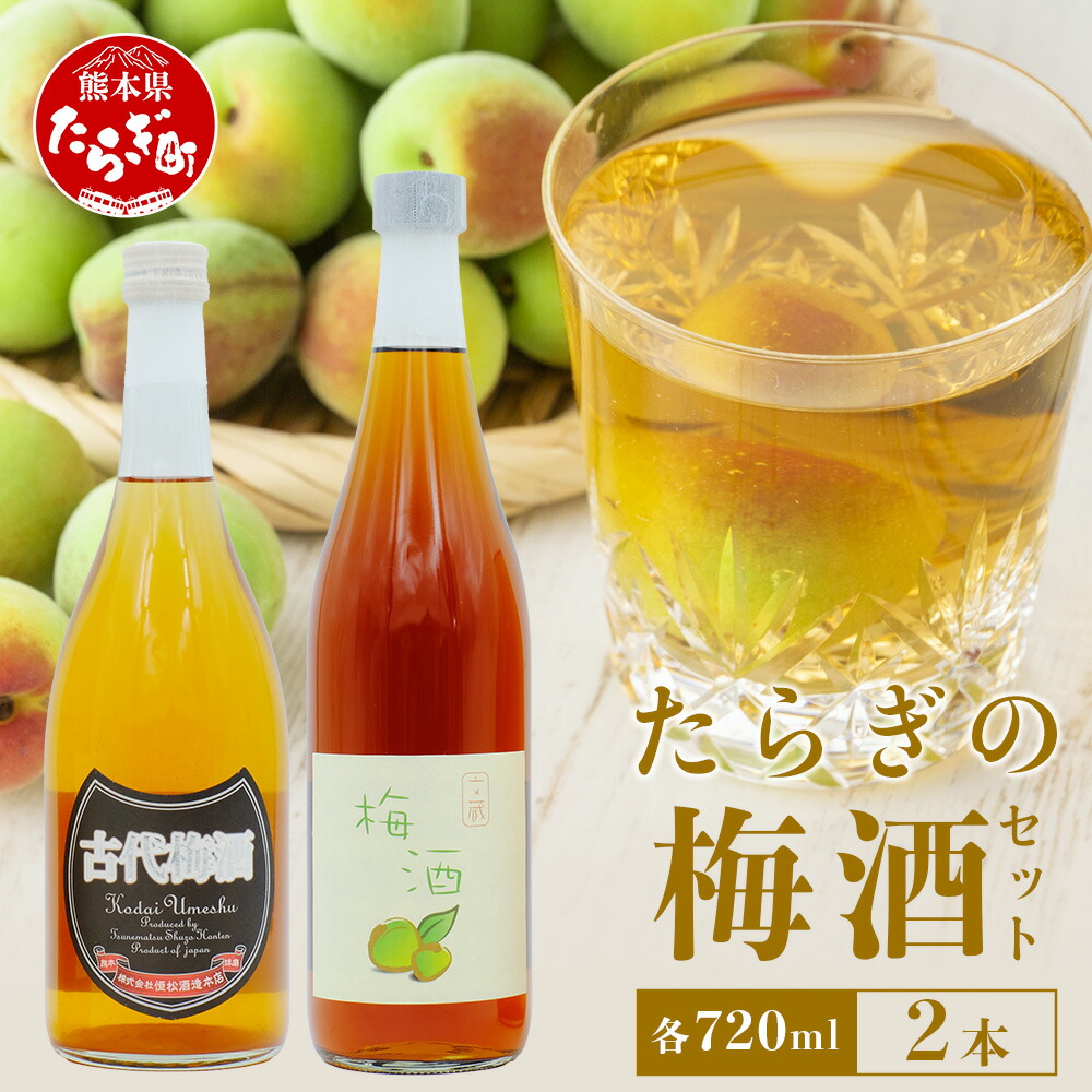 【ふるさと納税】たらぎの 梅酒 セット 720ml × 2本 ≪古代梅酒≫≪ 梅酒文蔵≫ 球磨焼酎 多良木町 米 焼酎 梅 うめ酒 お酒 球磨 贈り物 ギフト 熊本県 多良木町 送料無料 9,940円
