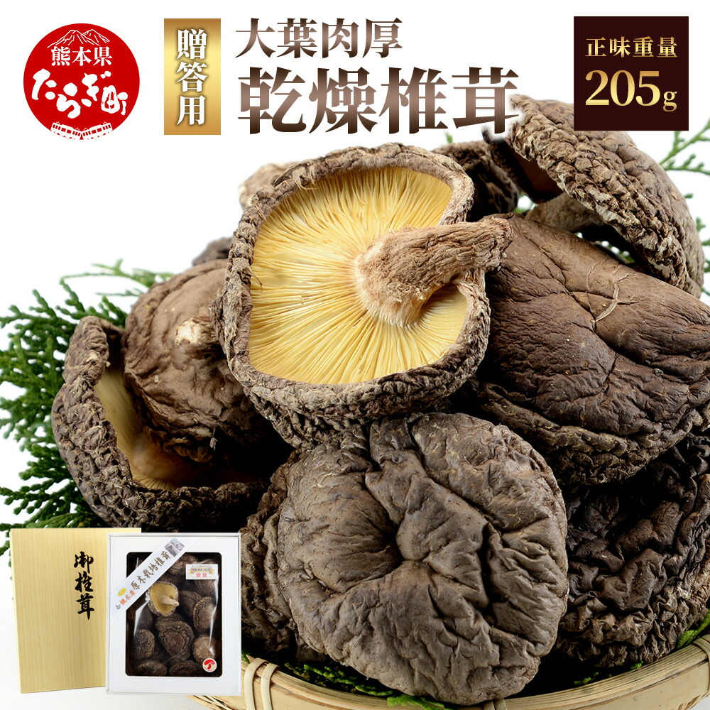 【ふるさと納税】お中元 農林水産大臣賞受賞  大葉厚肉 乾燥椎茸 205g 贈り物 夏 ギフト 槻木名産 贈答 感謝 贈り物 農林水産大臣賞 椎茸 干し椎茸 干しシイタケ しいたけ 九州 国産 熊本県 多良木町 きのこ 送料無料