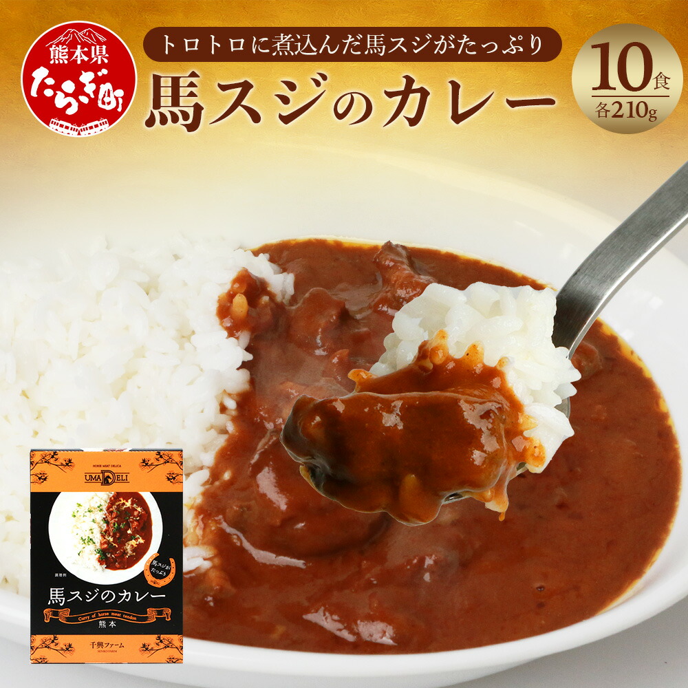 【ふるさと納税】馬スジのカレー 10食セット 合計2.1kg 210g&times;10個 カレー レトルト カレーライス シェフ監修 惣菜 馬すじ スジ 馬スジ 馬肉 お手軽 グルメ 保存食 非常食 長期保存 熊本県 多良木町 送料無料｜熊本県多良木町