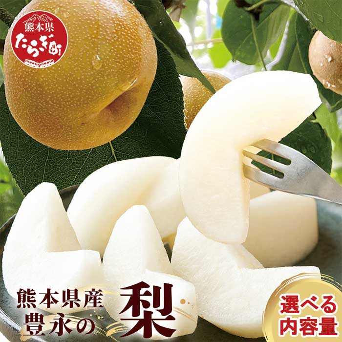 【ふるさと納税】令和7年発送分 豊永の 梨 約3kg～約5kg 幸水 新高 新興 豊水 秋月 秋麗 旬 果物 フルーツ 甘い 大きい ジューシー 梨 なし ナシ 生産者支援 応援 期間限定 九州 熊本県 多良木町 送料無料 名産地 多良木 ふるさと納税 梨  7月下旬～10月上旬発送