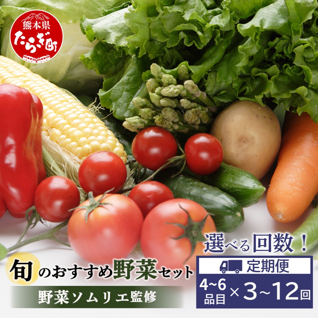 【ふるさと納税】回数選べる 定期便 ≪ 野菜ソムリエ 監修 ≫ 旬の おすすめ 野菜 セット ４～6品 (1～2名様向け) 3回／6回／12回 定期便 野菜 獲れたて 直送 旬 熊本県 多良木町 やさい ソムリエ 厳選 おまかせ おすすめ セレクト お試し  024-0801