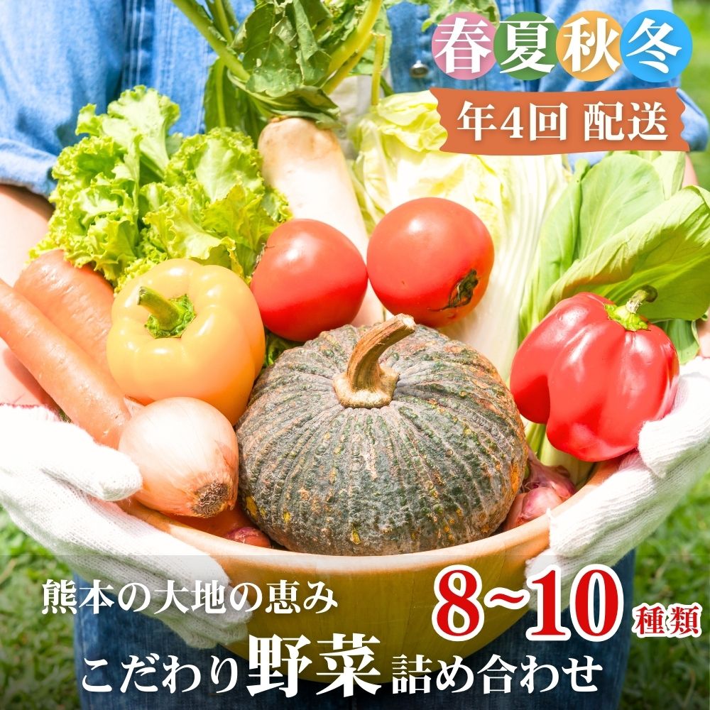 【ふるさと納税】【年4回定期便】春夏秋冬 熊本の大地の恵み こだわり野菜詰め合わせ 8～10種類 定期便 野菜 獲れたて 直送 旬 熊本県 多良木町 ソムリエ 厳選 おまかせ おすすめ セレクト お試し 024-0817