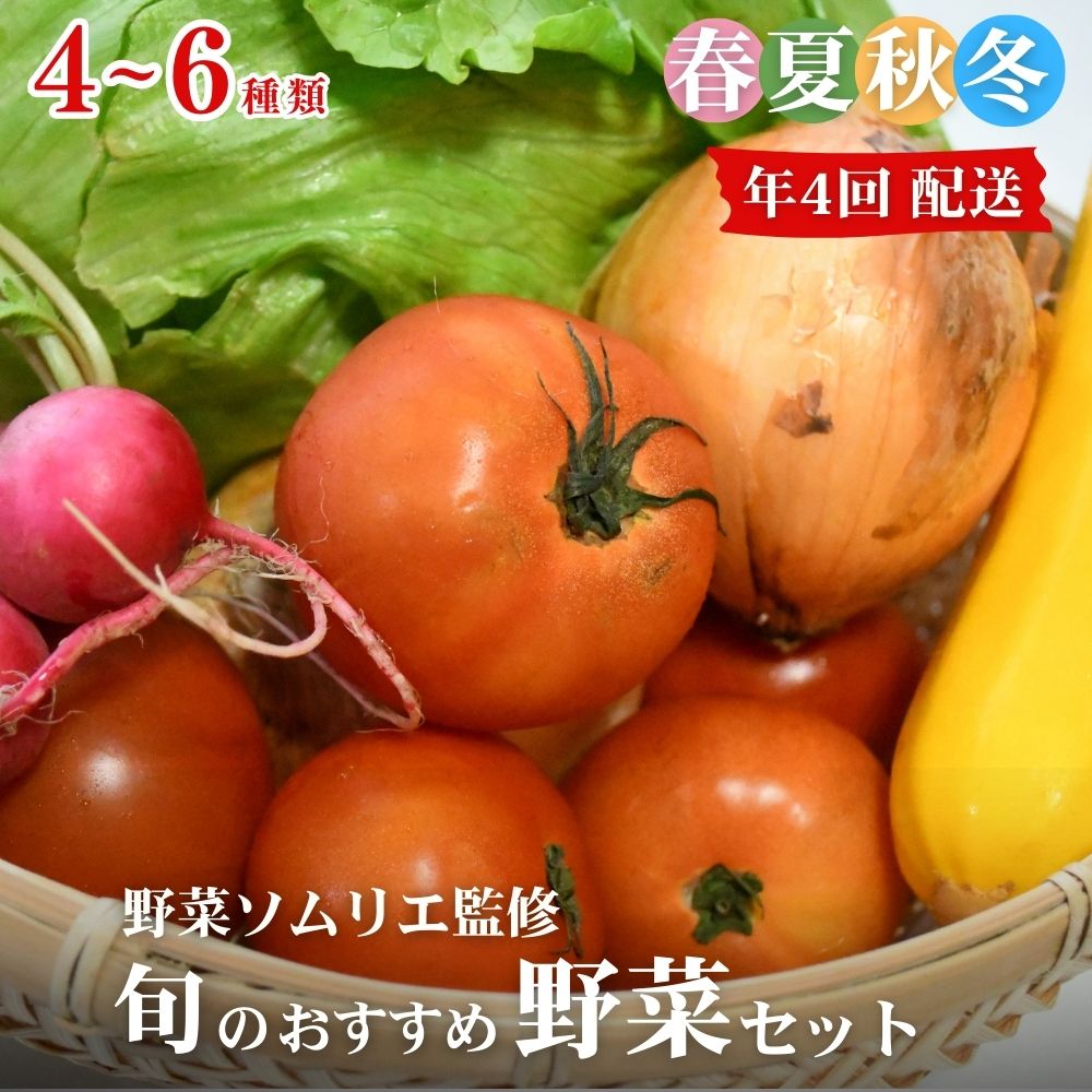 【ふるさと納税】【年4回定期便】春夏秋冬 野菜ソムリエ監修 旬のおすすめ野菜詰め合わせ 4～6種類 定期便 野菜 獲れたて 直送 旬 熊本県 多良木町 ソムリエ 厳選 おまかせ おすすめ セレクト お試し 024-0817｜熊本県多良木町