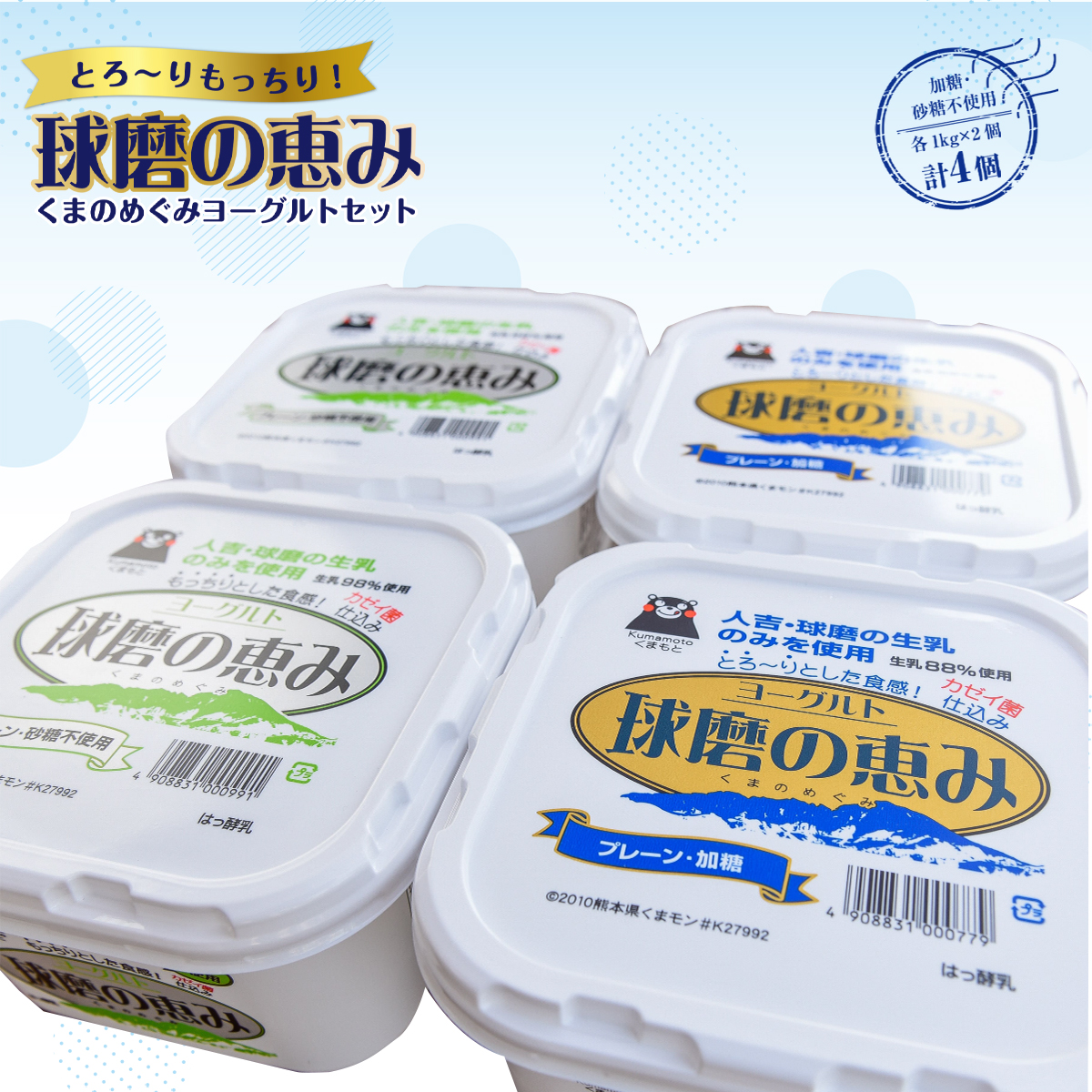 市場 ふるさと納税 送料無料 とろ〜りもっちり 乳製品 球磨の恵みヨーグルトセット